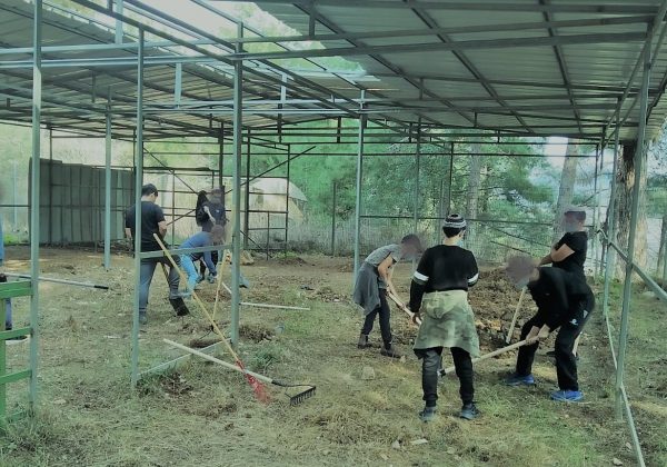 הקמת חווה חקלאית בישיבה